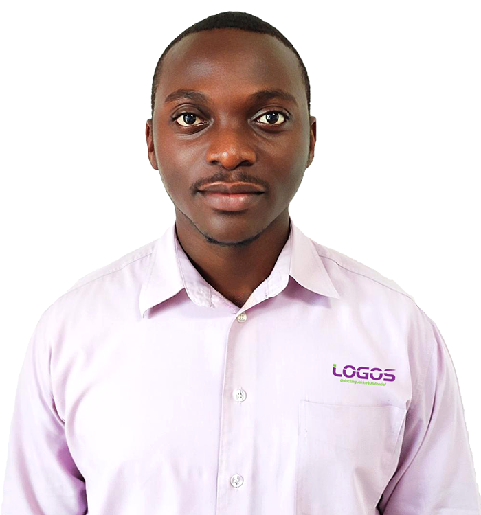 logosafrica_web_services