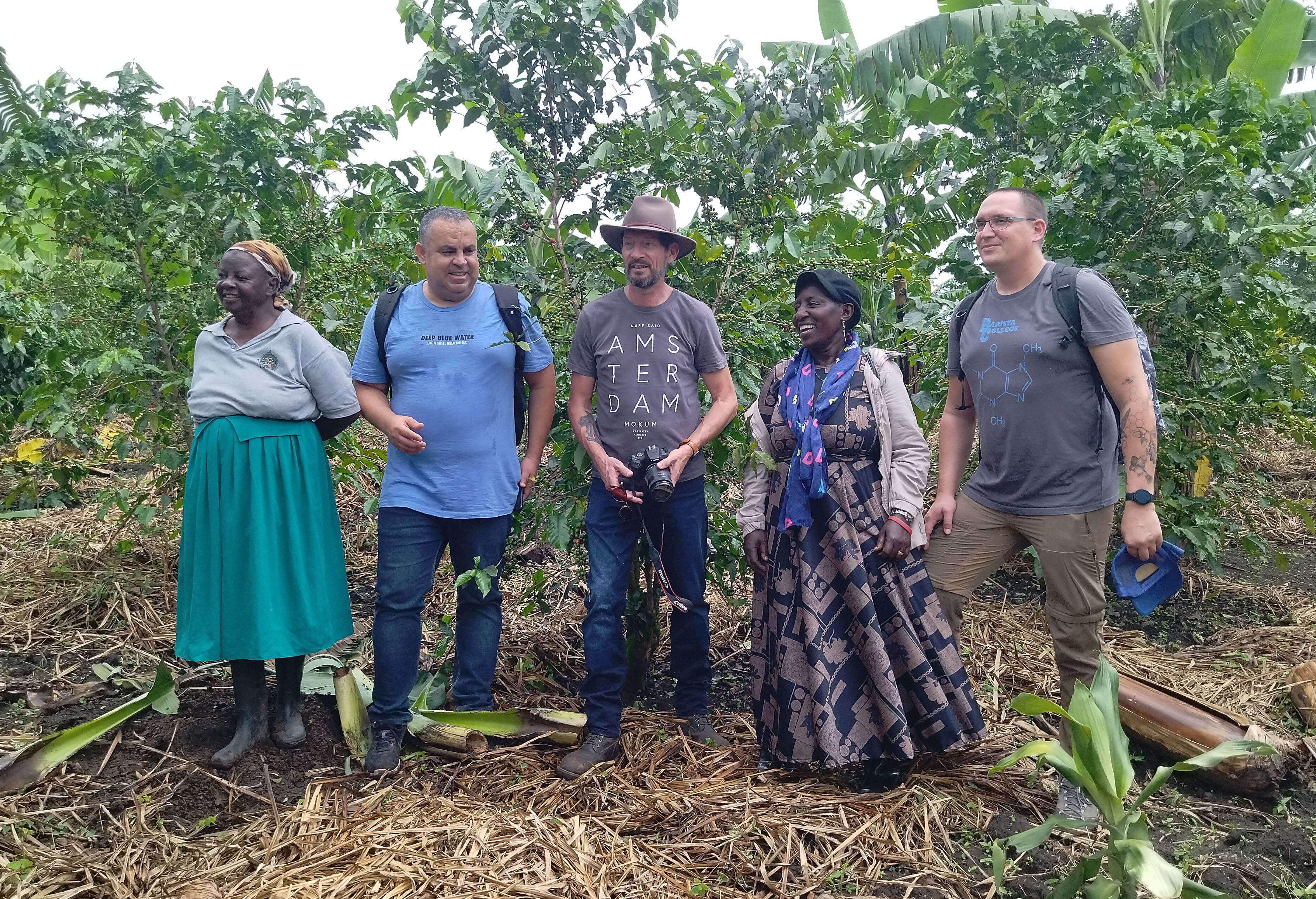 logosafrica_web_services